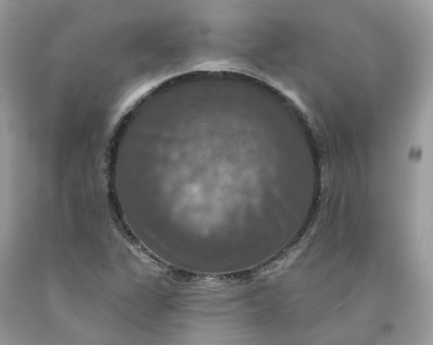 X0000091461311200709061748