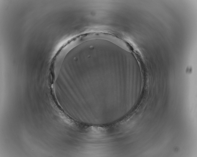 X0000091461312200709061748