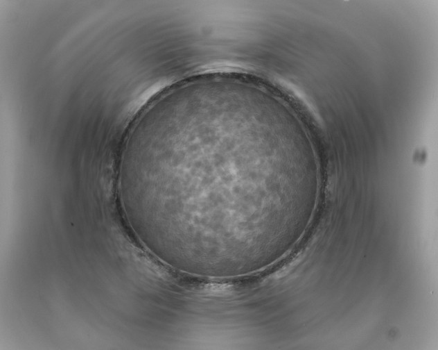 X0000091461313200709061748