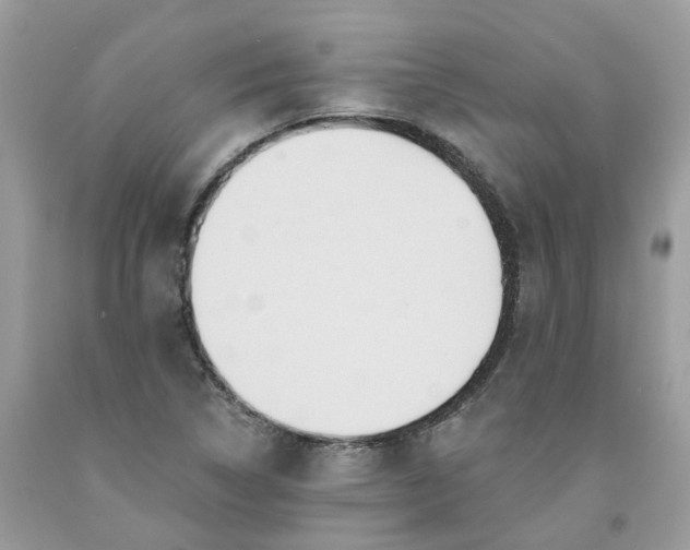 X0000091461314200709061748