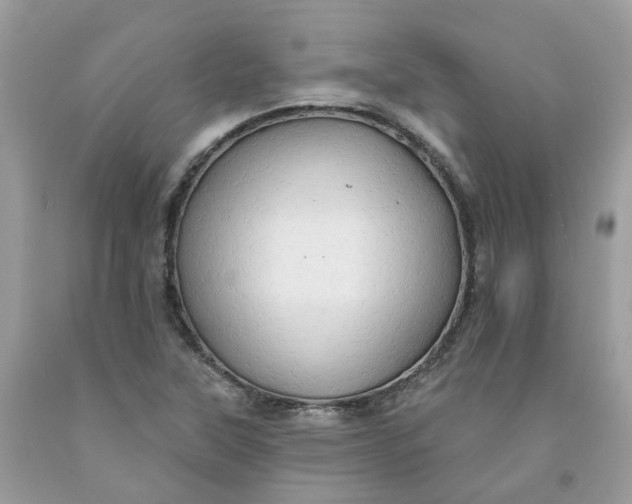 X0000091461315200709061748