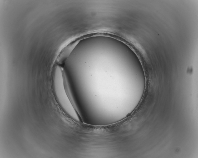 X0000091461316200709061748