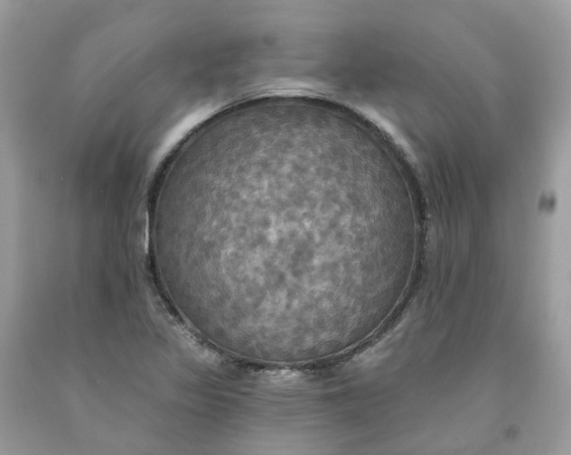 X0000091461317200709061748