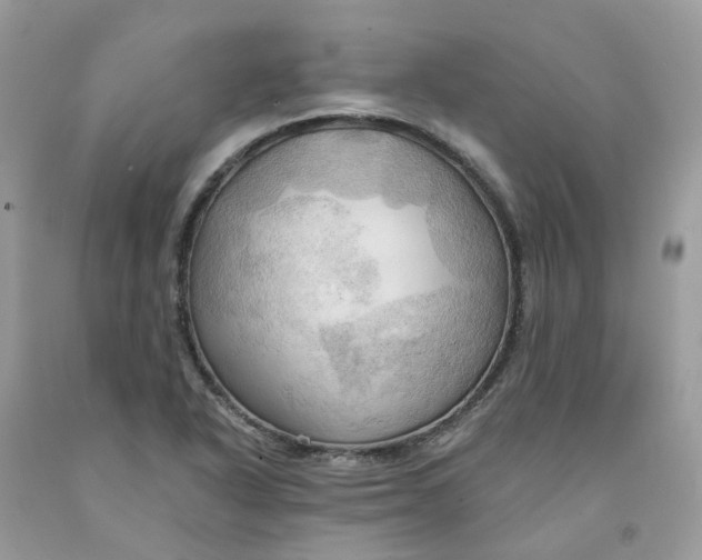 X0000091461318200709061748