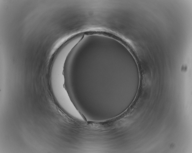 X0000091461319200709061748