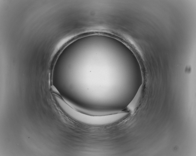 X0000091461320200709061748