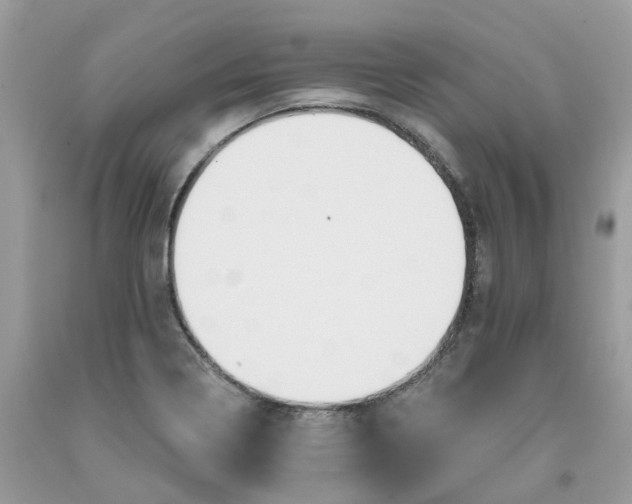 X0000091461322200709061748