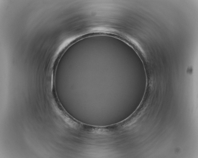 X0000091461323200709061748