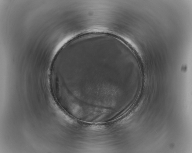 X0000091461325200709061748