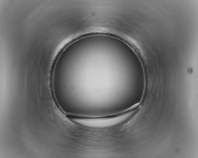 X0000091461326200709061748