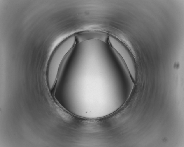 X0000091461328200709061748