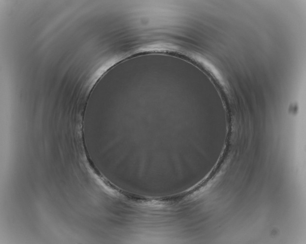 X0000091461329200709061748