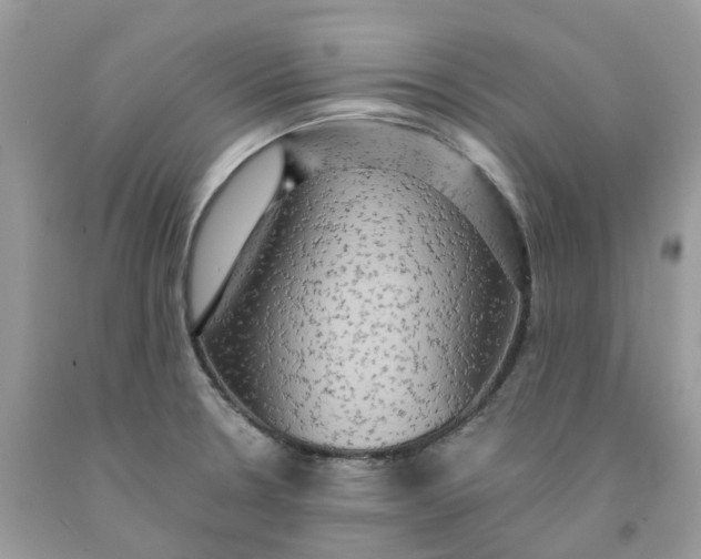 X0000091461330200709061748