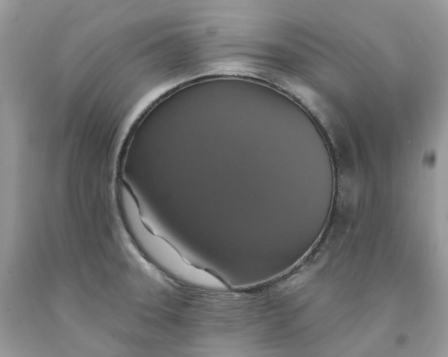 X0000091461331200709061748