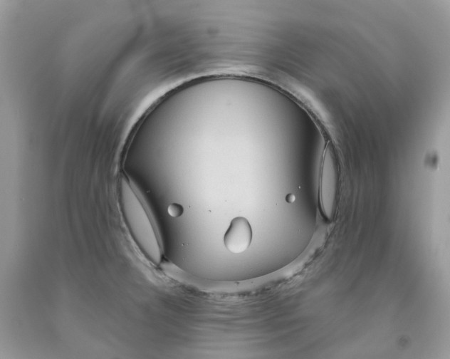 X0000091461332200709061748