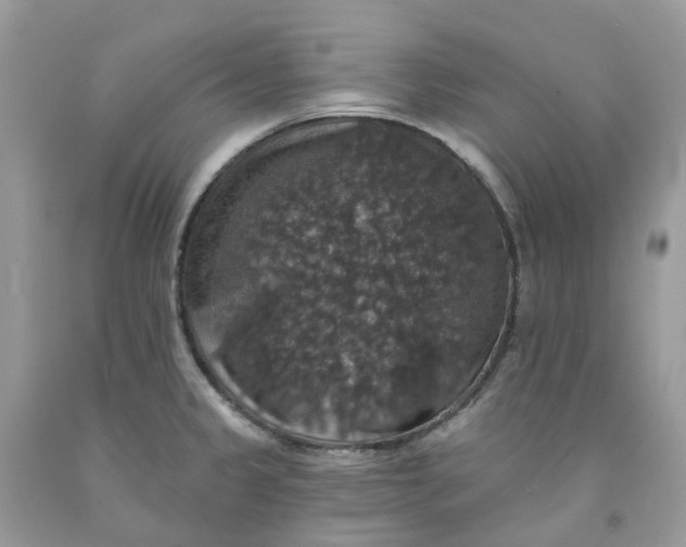 X0000091461333200709061748