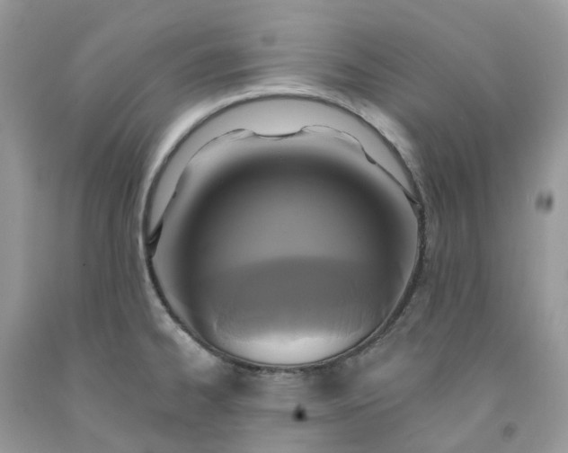 X0000091461334200709061748