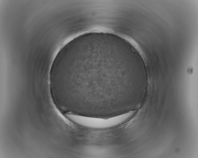 X0000091461335200709061748