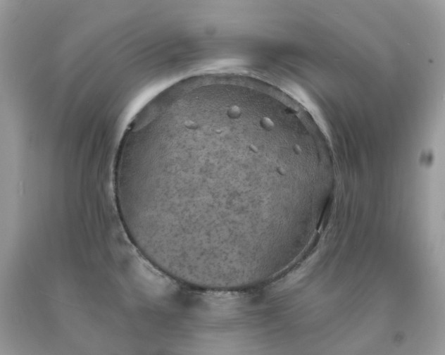 X0000091461336200709061748