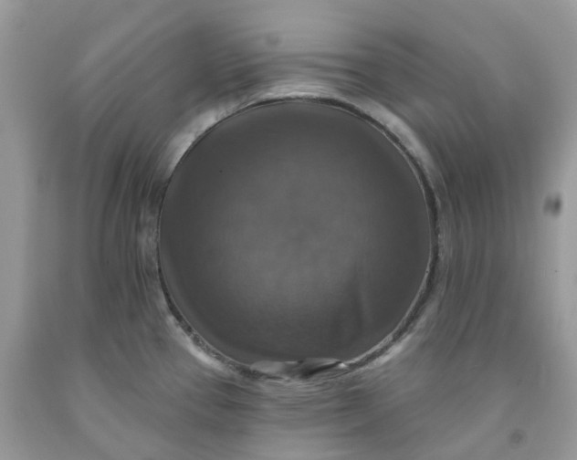 X0000091461337200709061748