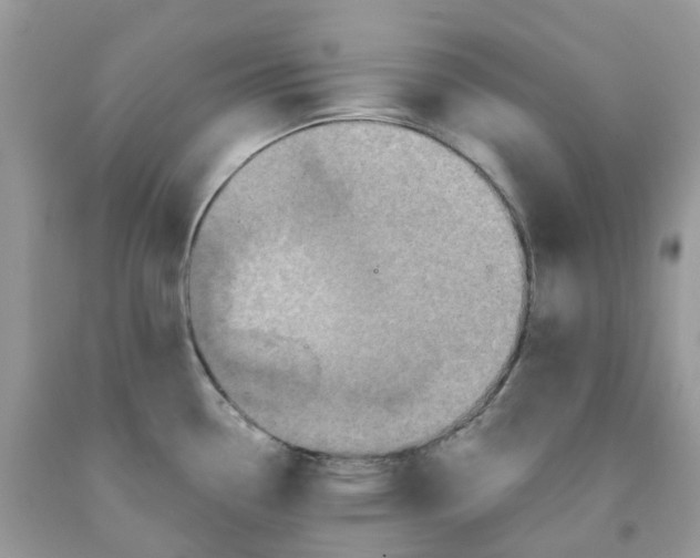 X0000091461338200709061748