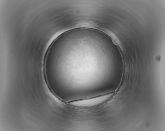 X0000091461339200709061748