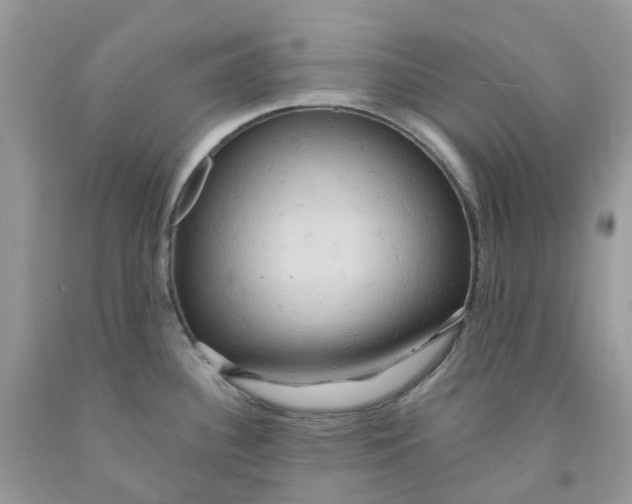 X0000091461340200709061748