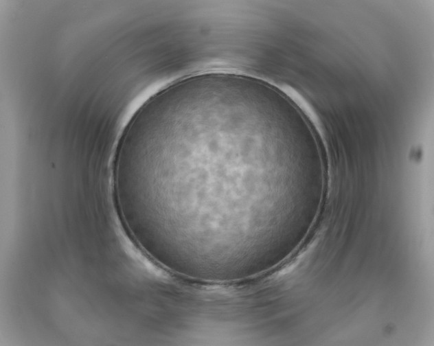 X0000091461341200709061748