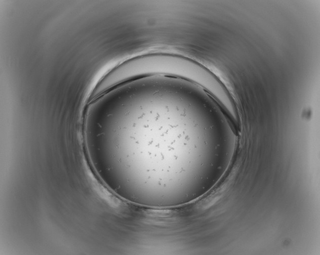 X0000091461342200709061748