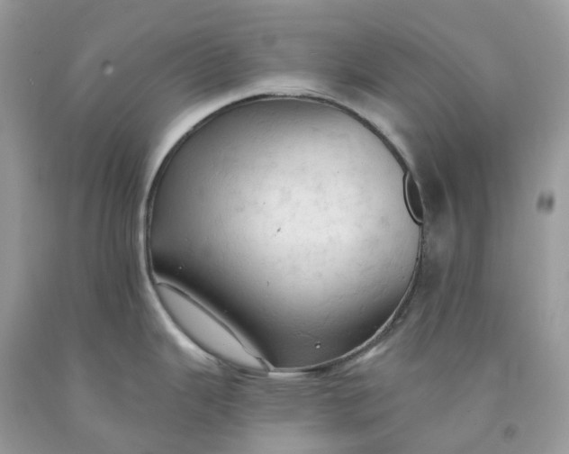 X0000091461343200709061748