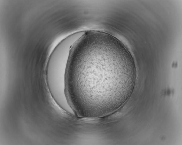 X0000091461344200709061748