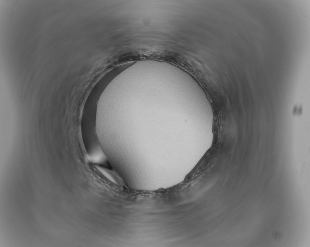 X0000091461345200709061748