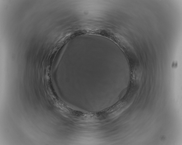 X0000091461346200709061748