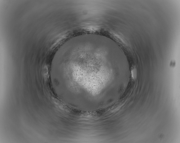 X0000091461347200709061748