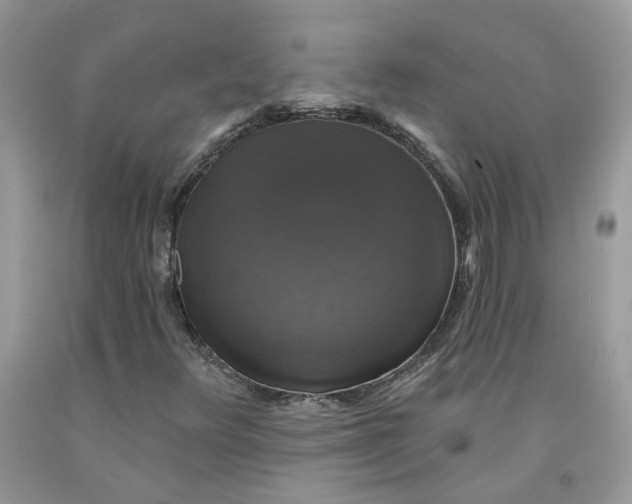 X0000091461348200709061748