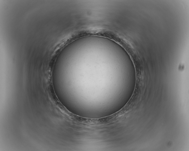 X0000091461349200709061748