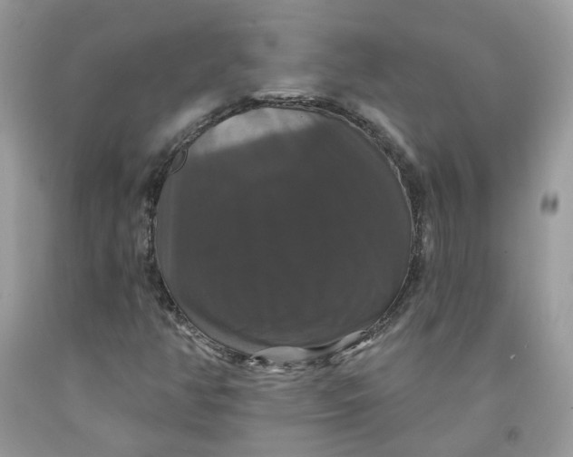 X0000091461350200709061748