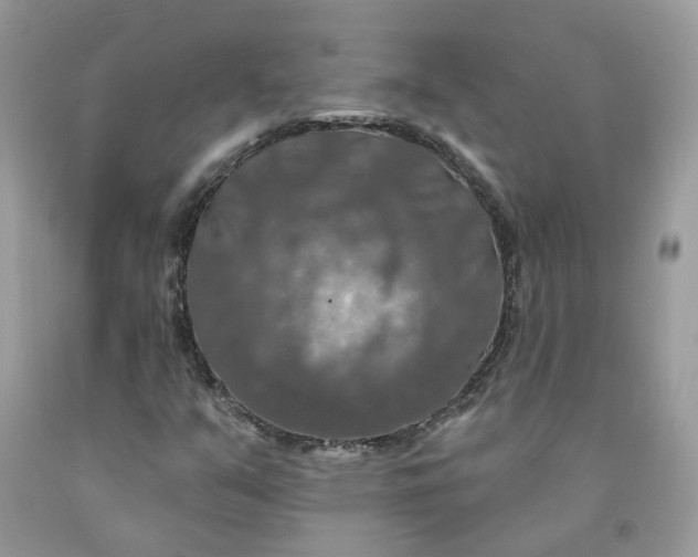 X0000091461351200709061748