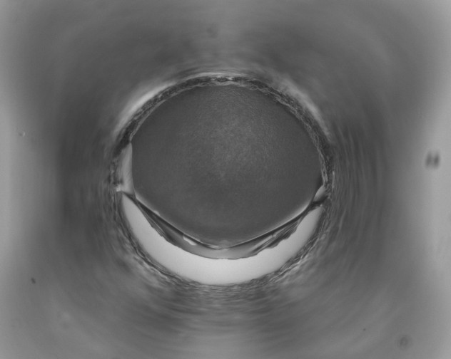 X0000091461352200709061747