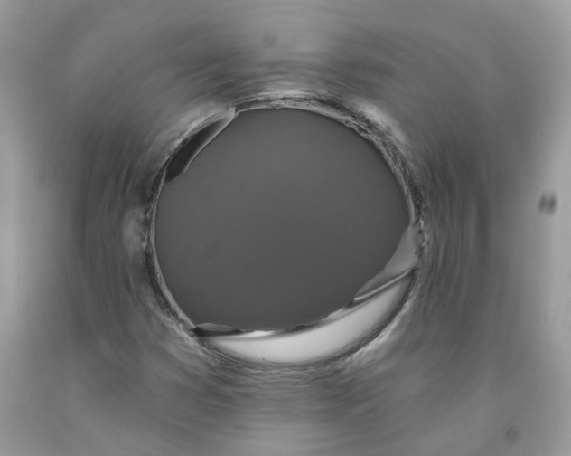 X0000091461353200709061747