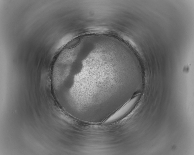 X0000091461354200709061747