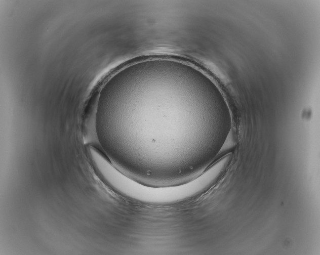 X0000091461356200709061747