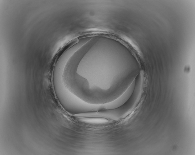 X0000091461357200709061747