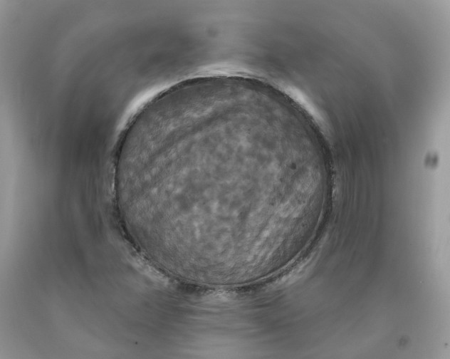 X0000091461358200709061747