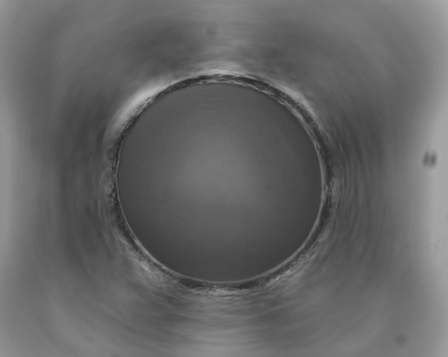 X0000091461359200709061747