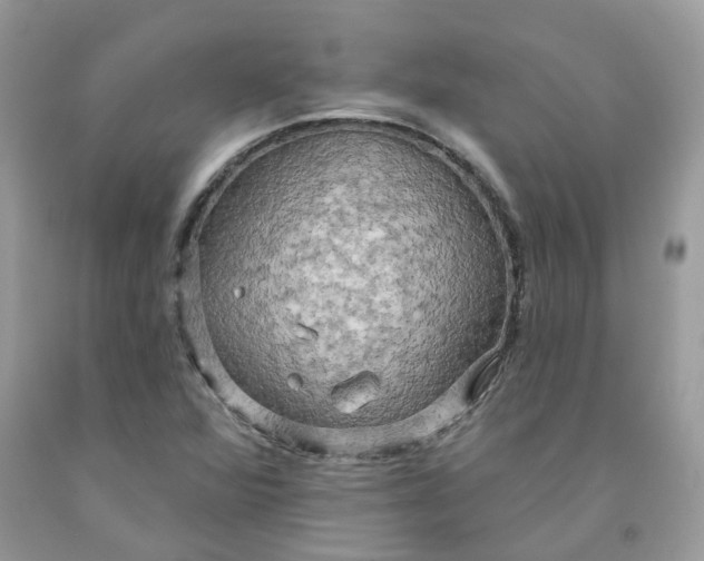 X0000091461360200709061747
