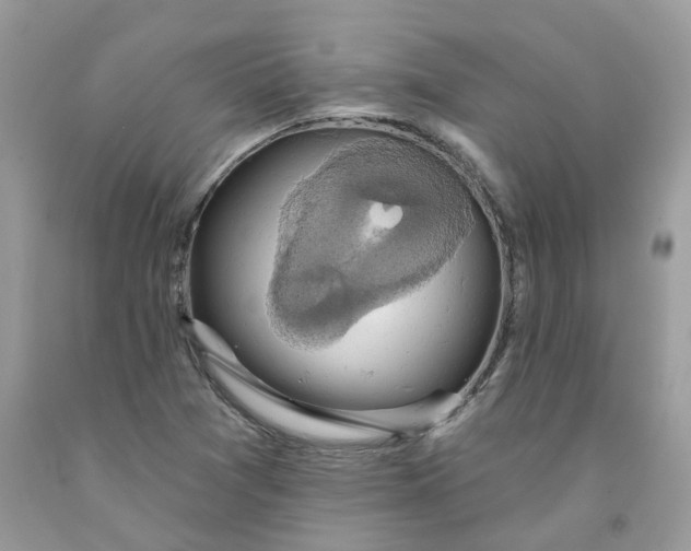 X0000091461361200709061747