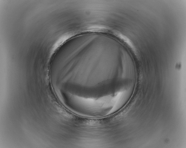 X0000091461362200709061747