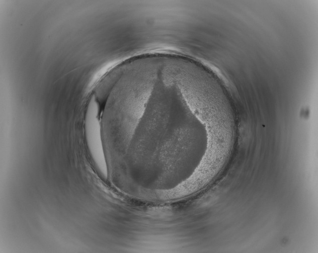 X0000091461363200709061747