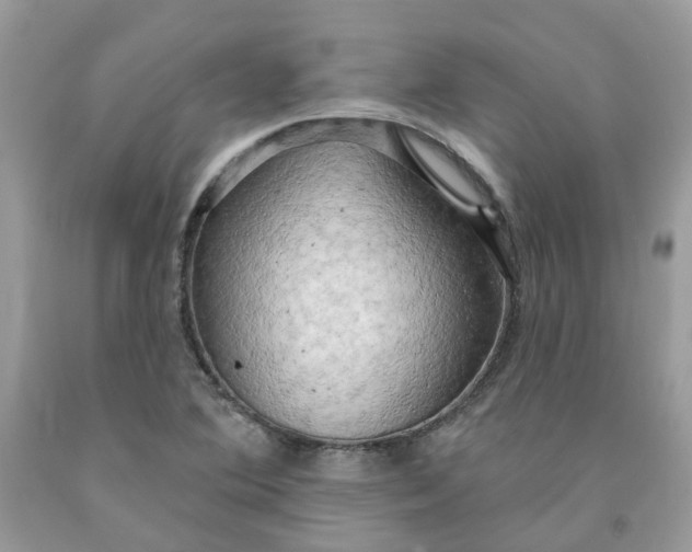 X0000091461364200709061747